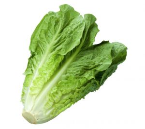 MINI ROMANA MAYUMI UN