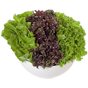 TRIO MAYUMI (UNIDADE)