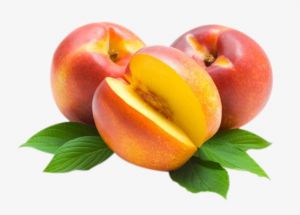 NECTARINA CHILENA KG