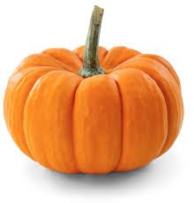 AB�BORA MORANGA KG