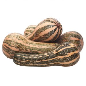 AB�BORA PAULISTA KG