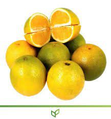 LARANJA PRA KG